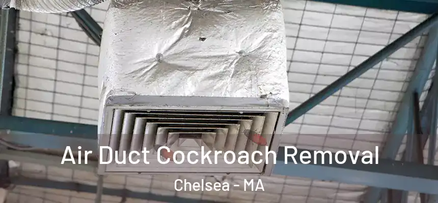 Air Duct Cockroach Removal Chelsea - MA