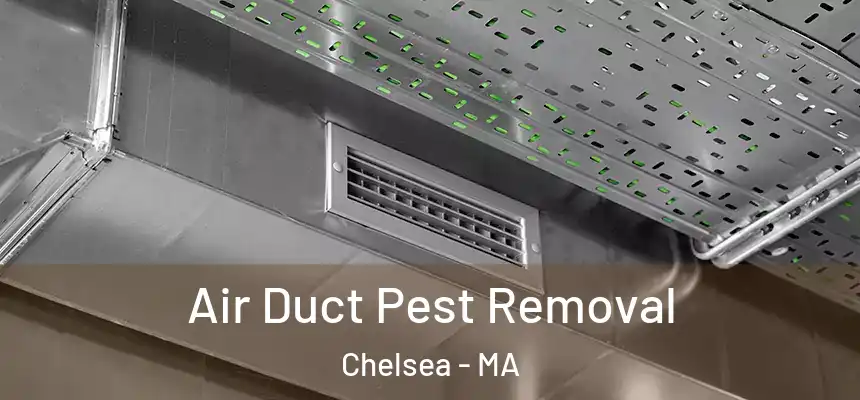 Air Duct Pest Removal Chelsea - MA