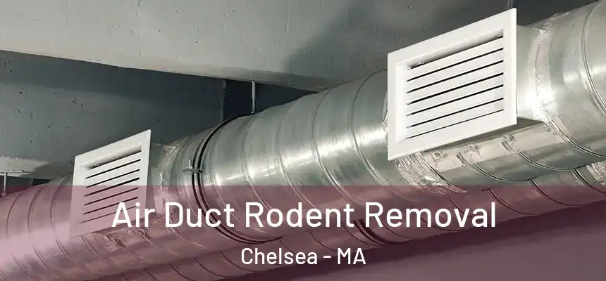 Air Duct Rodent Removal Chelsea - MA