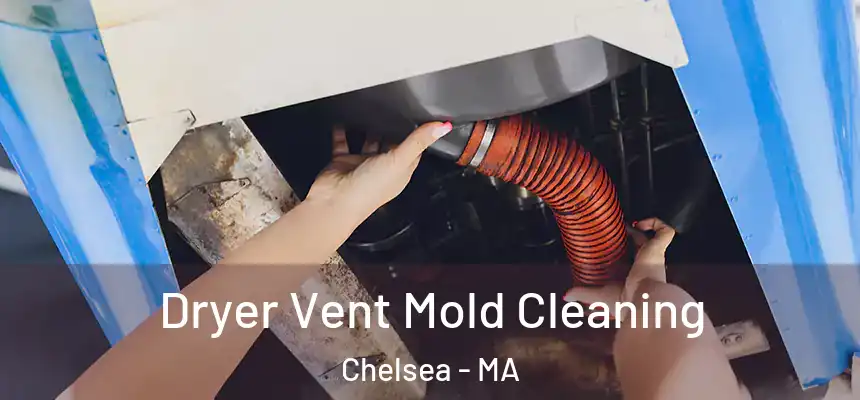  Dryer Vent Mold Cleaning Chelsea - MA