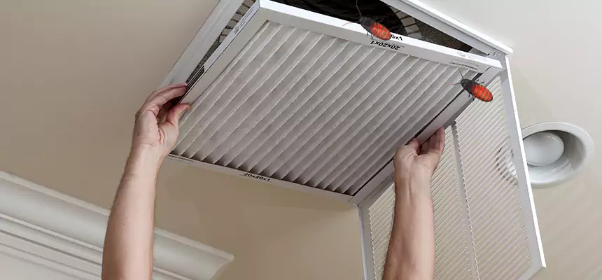 Preventive Cockroach-Proofing for Ducts in Chelsea