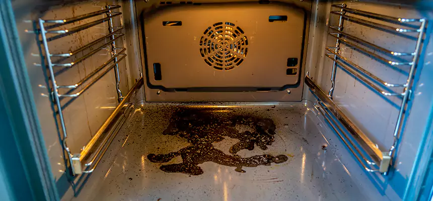 Our Dryer Vent Mold Cleaning Services in Chelsea, MA