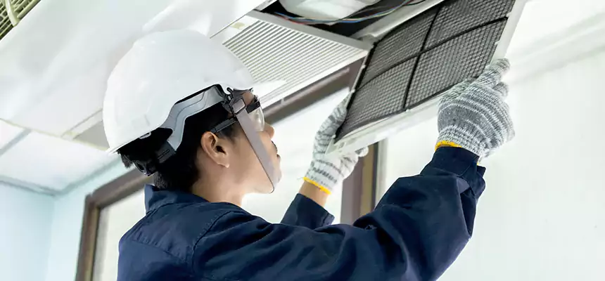 Our Mold & Mildew Removal from Air Ducts Services in Chelsea, MA