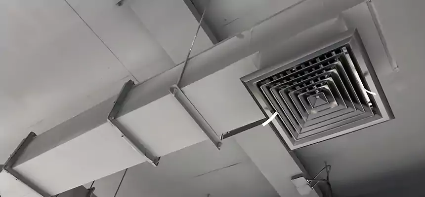 Our Rodent Droppings In Vents Services in Chelsea, MA