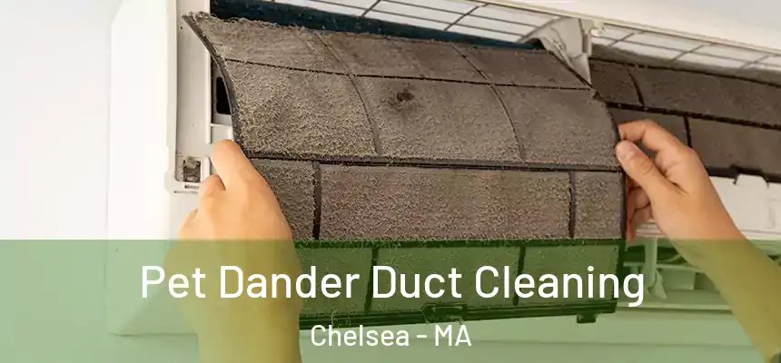 Pet Dander Duct Cleaning Chelsea - MA