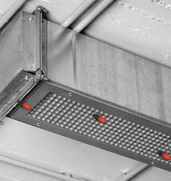 About Air Duct Cockroach Removal in Chelsea, MA