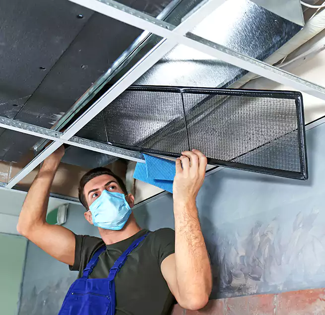 Why Homeowners Businesses Trust Us in Chelsea, MA