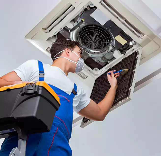 Why Homeowners & Businesses Trust Us in Chelsea, MA