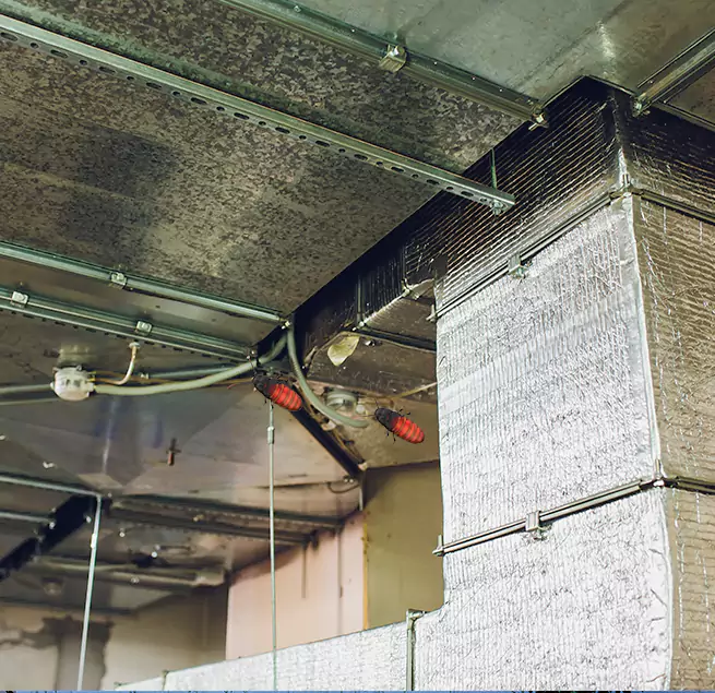 Why Homeowners & Businesses Trust Us Chelsea, MA?