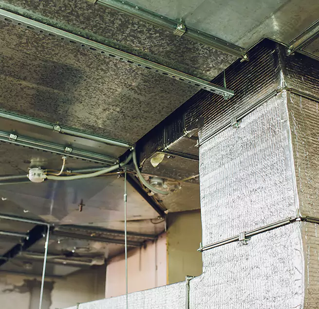 Why Homeowners & Businesses Trust Us in Chelsea, MA?